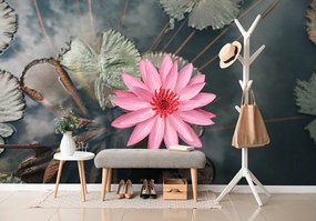 Fototapet autoadeziv floare de lotus încântătoare