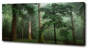 Tablou pe pânză canvas Ceață în pădure