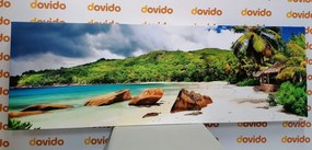 Tablou Seychelles tropical