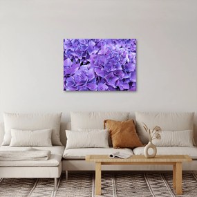 Tablou cu flori violete (70x50 cm)