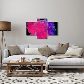 Tablou cu fum colorat (90x60 cm)