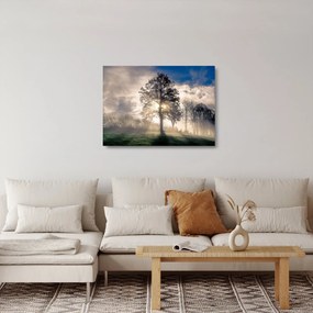 Tablou pe sticlă cu copac în ceață (70x50 cm)