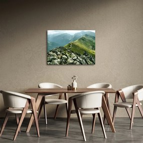 Tablou - Peisaj montan (70x50 cm)