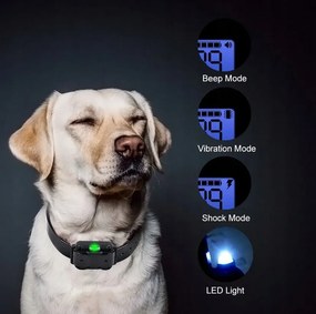 Zgardă electrică de dresaj pentru câini, control de la distanță