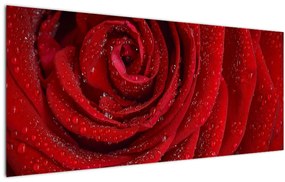 Tablou - detaliu de  trandafir (120x50 cm), în 40 de alte dimensiuni noi