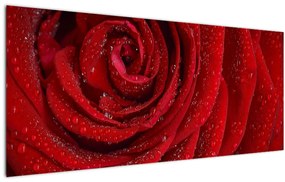Tablou - detaliu de trandafir (120x50 cm)