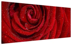 Tablou - detaliu de trandafir (120x50 cm)