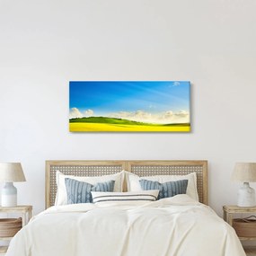 Tablou - Cerul de primăvară (120x50 cm)