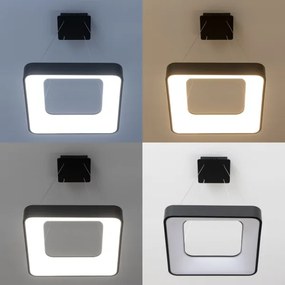 Brilagi - Lustră LED dimabilă suspendată pe cablu FALCON II LED/80W/230V 40x40 cm neagră + telecomandă