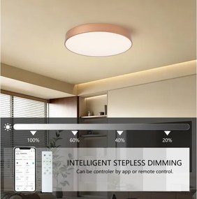 Brilagi-LED Corp de iluminat reglabil POOL SMART LED 60 W/230 V, 50 cm, Wi-Fi Tuya, bronz + telecomandă