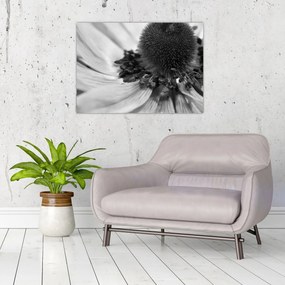 Tablou pe sticlă - Floare în alb-negru (70x50 cm)