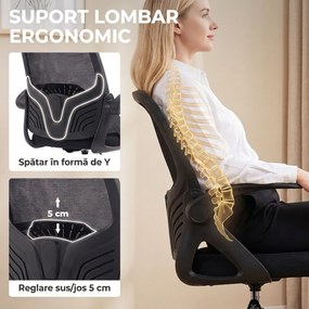 HOMCOM Scaun de Birou Ergonomic din Plasă, cu Suport Lombar și Suport pentru Picioare Reglabil, Cotiere Rabatabile, Negru | Aosom Romania