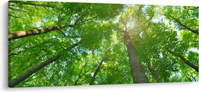 Tablou - Lunca (120x50 cm)
