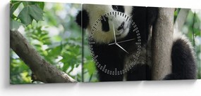 Tablou - Panda in copac (cu ceas) (90x30 cm)
