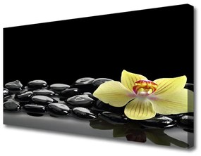 Tablou pe panza canvas Pietre de flori Bucătărie Galben Negru