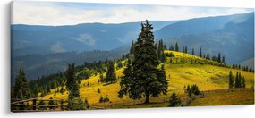 Tablou - Lunca de munte (120x50 cm)
