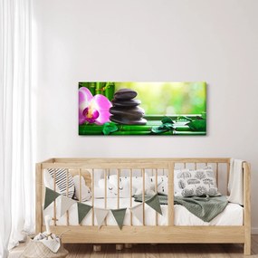 Tablou cu pietre pentru masaj și orhidee (120x50 cm)