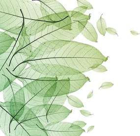 Fototapet, Foliage, Rebel Walls