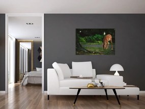 Tablou cu pui de cerb (90x60 cm)