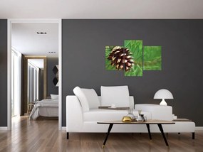 Tablou cu con (90x60 cm)