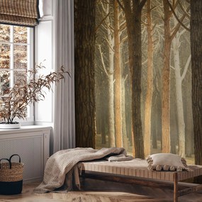 Fototapet – Pădure cu raze de soare (147x102 cm)