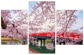 Tablou - Hirosaki, Japonia (90x60 cm)