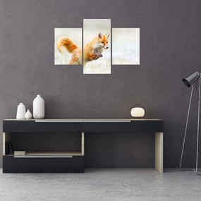 Tablou - Vulpe care sare (90x60 cm)