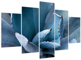 Tablou - Agave (150x105 cm)
