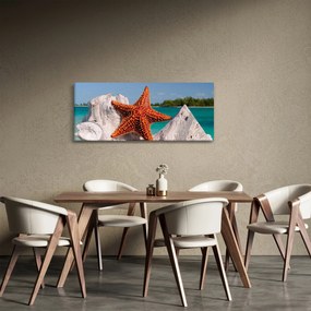 Tablou cu stea de mare (120x50 cm)