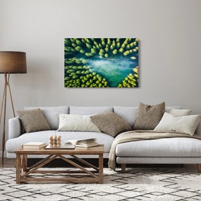Tablou - O pădure învăluită în ceață (90x60 cm)