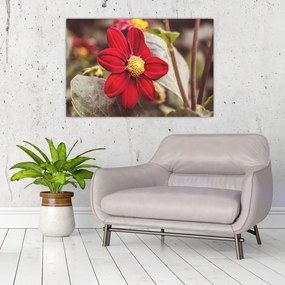 Tablou cu floare (90x60 cm)