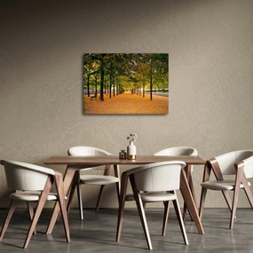 Tablou cu alee cu copaci în toamnă (70x50 cm)