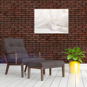 Tablou - Pană (70x50 cm)