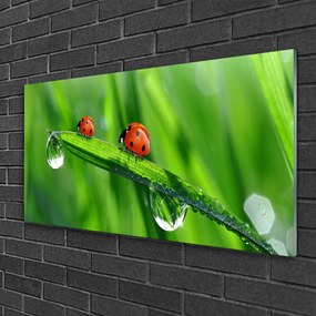 Tablouri acrilice Ladybird Beetle Floral Verde Roșu Negru