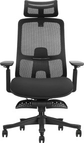 VANTIS PRO – Scaun Ergonomic Premium cu Spătar Înalt Regalbil pe înălțime în 5 poziții, Șezut glisant, Cotiere 3D, Suport pentru picioare, Mesh, Negru