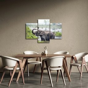 Tablou - Elefant de scăldat (90x60 cm)
