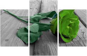 Tablou - Trandafir verde (90x60 cm)