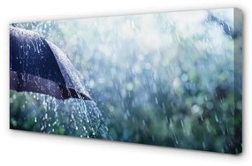 Tablouri canvas picături de ploaie Umbrella