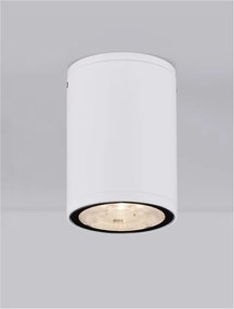 Spot LED aplicat de exterior IP65 LUMINA D-6,5cm alb