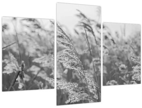 Tablou - Iarba în vânt (90x60 cm)