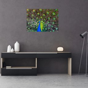 Tablou - Păun (70x50 cm)