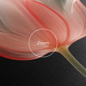 Tablou Canvas, 20x30cm, Dormitor si Living, Flori, Lalele, Pastel Pink Tulip