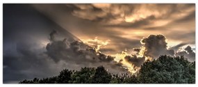 Tablou cu nori și pădure (120x50 cm)