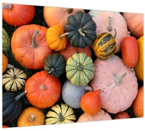 Tablou - Dovleac (70x50 cm)