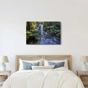 Tablou cu pădurea ploilor din Austalia (90x60 cm)