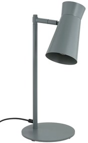 Lampa cu spot directionabil LORD 8872 salvie