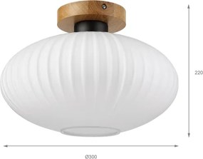 Plafonieră HARMA WOOD 1xE27/15W/230V stejar/alb Ø 30 cm