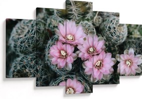 Tablou floare de cactus (150x105 cm)