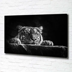 Imprimare tablou canvas Tigru