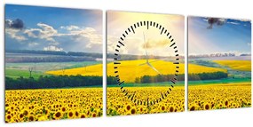 Tablou - Câmp cu floarea soarelui (cu ceas) (90x30 cm)